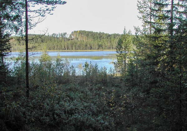 2004